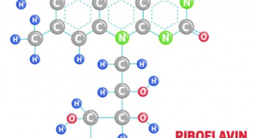 Riboflavina e salute delle donne: il potenziale delle nuove strategie basate sul microbioma